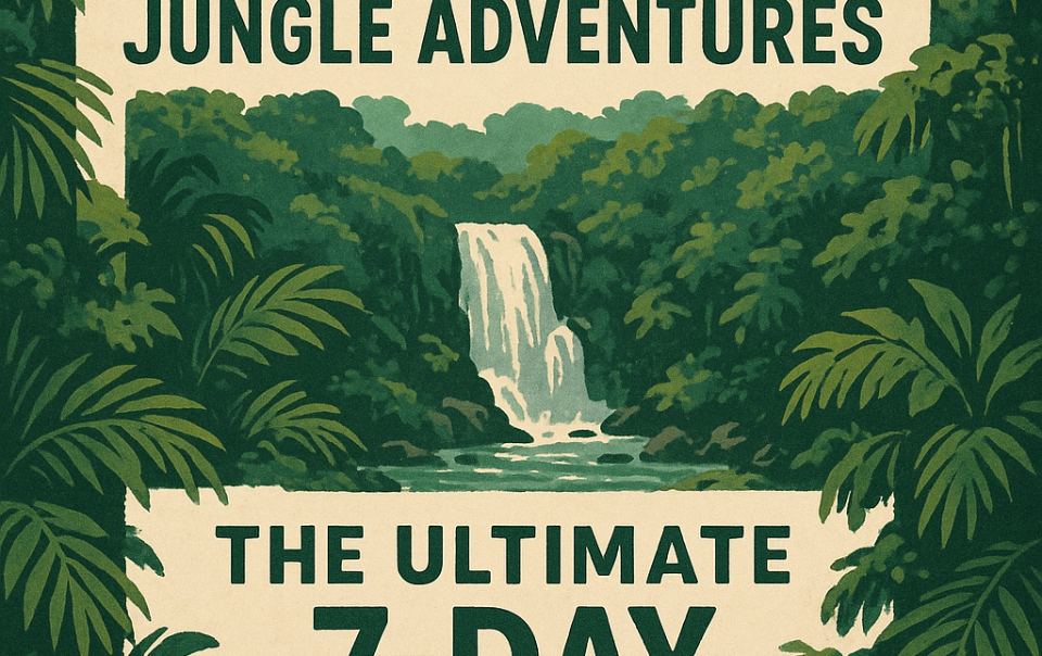 Belize Jungle Adventures